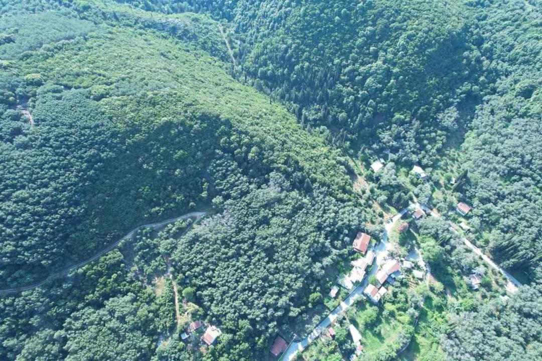בית הארחה Klimatia 	Harry'S Retreat מראה חיצוני תמונה